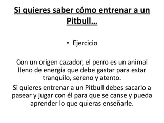 Si quieres saber cómo entrenar a un
              Pitbull…

                  • Ejercicio

 Con un origen cazador, el perro es un animal
  lleno de energía que debe gastar para estar
           tranquilo, sereno y atento.
Si quieres entrenar a un Pitbull debes sacarlo a
pasear y jugar con él para que se canse y pueda
      aprender lo que quieras enseñarle.
 