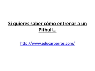Si quieres saber cómo entrenar a un
              Pitbull…

     http://www.educarperros.com/
 