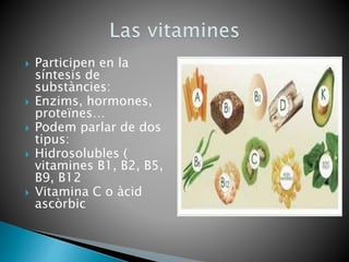  Participen en la
síntesis de
substàncies:
 Enzims, hormones,
proteïnes…
 Podem parlar de dos
tipus:
 Hidrosolubles (
vitamines B1, B2, B5,
B9, B12
 Vitamina C o àcid
ascòrbic
 