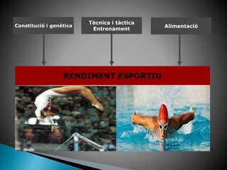 Constitució i genètica
Tècnica i tàctica
Entrenament
Alimentació
RENDIMENT ESPORTIU
 