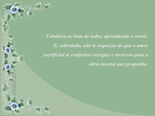Colabora no bem de todos, aprendendo a servir. E, sobretudo, não te esqueças de que o amor sacrificial te conferirá energias e recursos para a obra imortal que proponho. 
