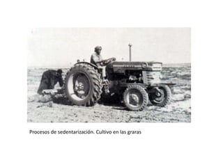 Procesos de sedentarización. Cultivo en las graras
 