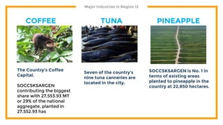 Major Industries in Region 12
COFFEE TUNA PINEAPPLE
The Country’s Coffee
Capital.
SOCCSKSARGEN
contributing the biggest
share with 27,553.93 MT
or 29% of the national
aggregate, planted in
27,552.93 has
Seven of the country’s
nine tuna canneries are
located in the city.
SOCCSKSARGEN is No. 1 in
terms of existing areas
planted to pineapple in the
country at 22,850 hectares.
 