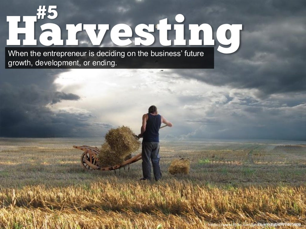 Harvesting 5 When the entrepreneur