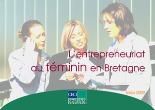 L’entrepreneuriat
au   féminin en Bretagne
                     Mars 2009
 