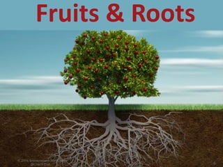 Fruits & Roots
 