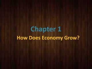 Chapter 1
How Does Economy Grow?

 