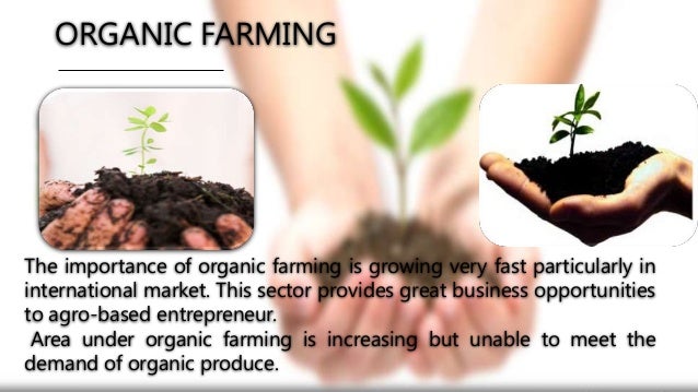 IMPORTANCE OF ORGANIC FARMING EPUB IMPORTANCE OF ORGANIC FARMING EPUB