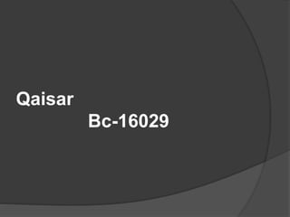 Qaisar
Bc-16029
 