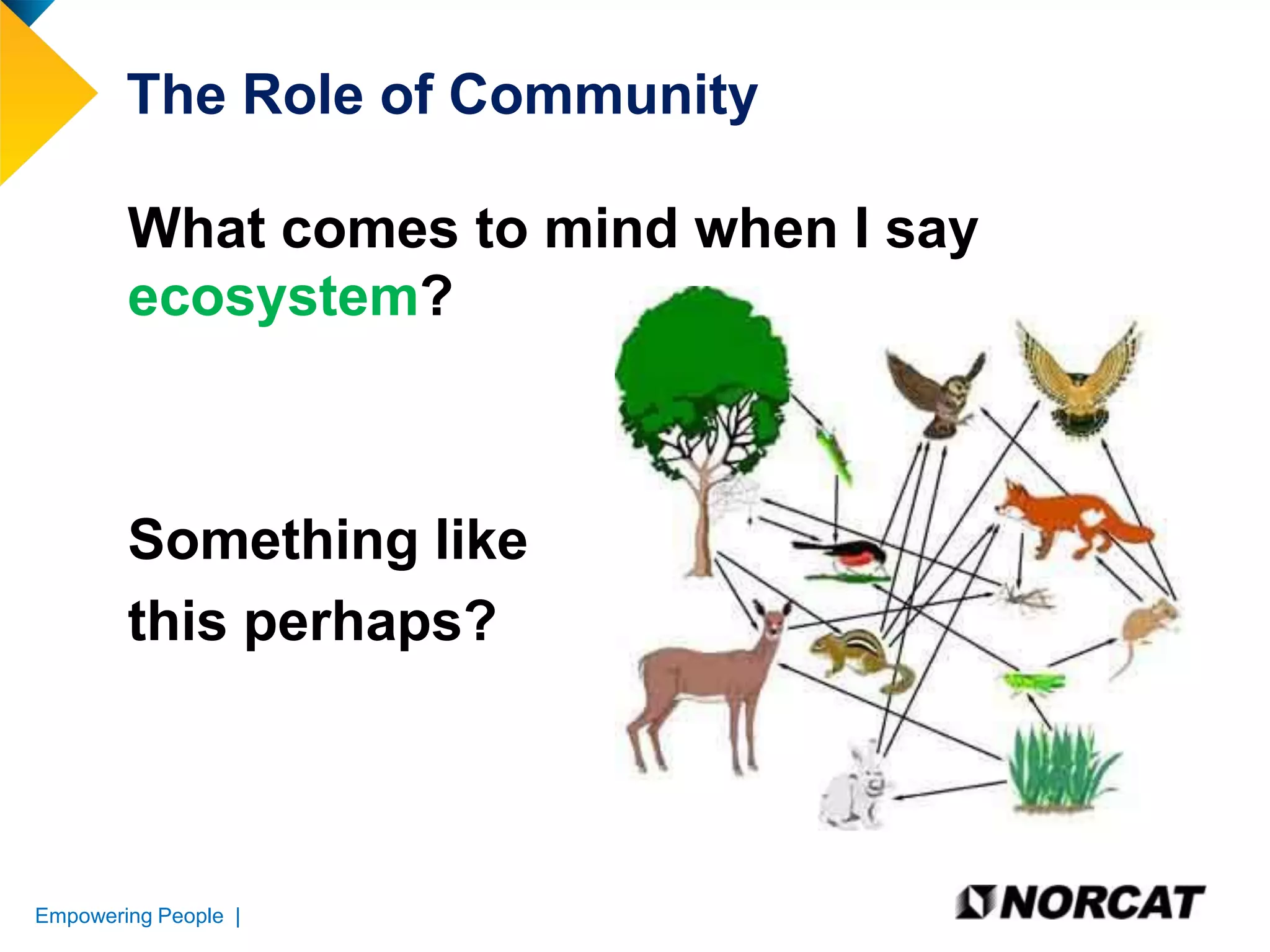The Role of Community
What comes to mind when I say
ecosystem?

Something like
this perhaps?

Empowering People |

 