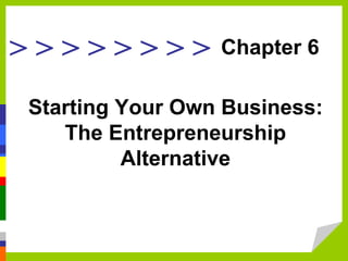 > > > > > > > >
Starting Your Own Business:
The Entrepreneurship
Alternative
Chapter 6
 