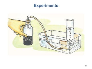 Experiments
30
(Foto de Laboratório de Química)
 