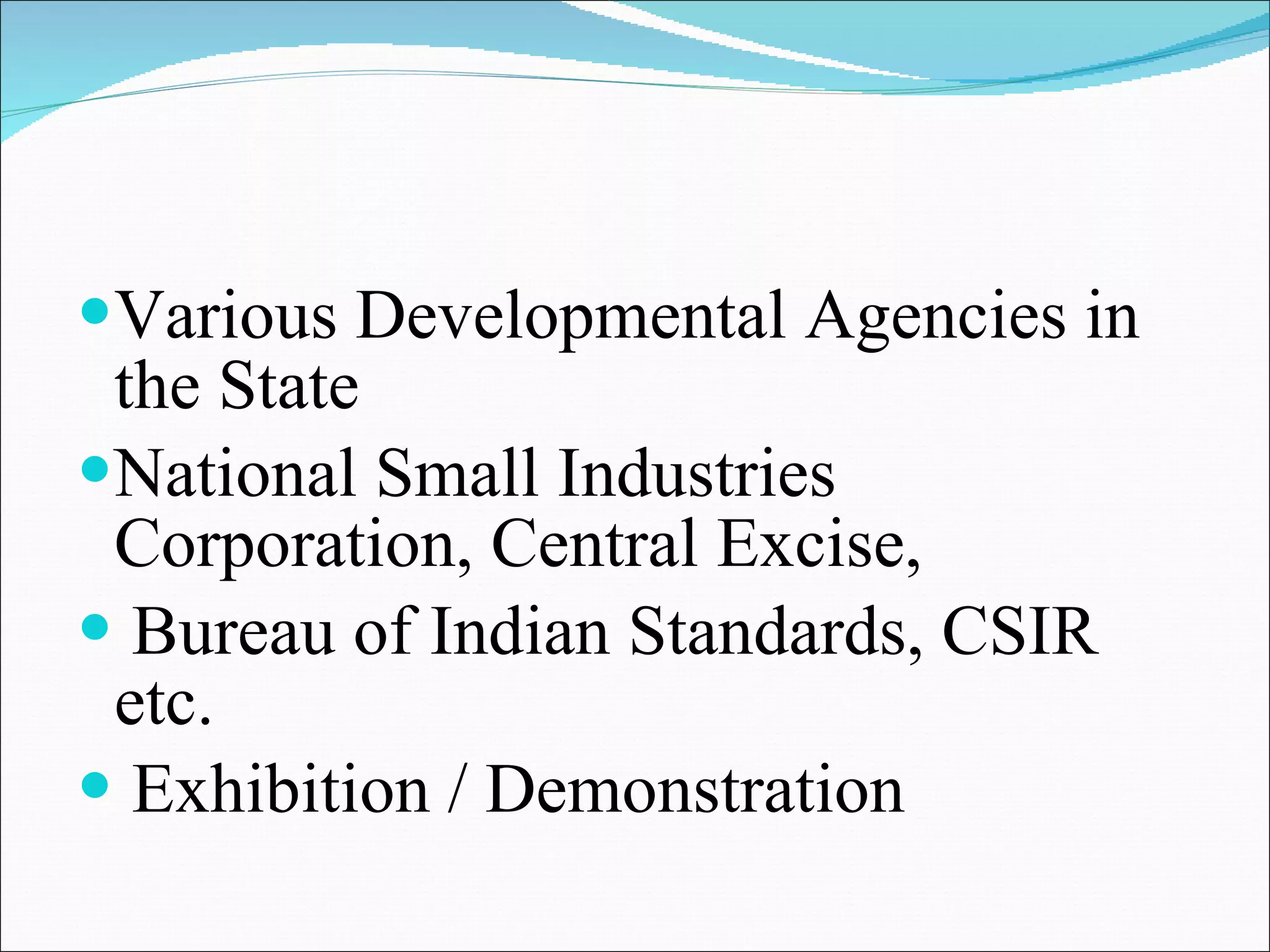 Various Developmental Agencies in the State National Small Industries Corporation, Central Excise,  Bureau of Indian Standards, CSIR etc. Exhibition / Demonstration 