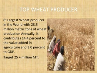 TOP WHEAT PRODUCER
8th
Largest Wheat producer
in the World with 23.5
million metric tons of wheat
production Annually. It
contributes 14.4 percent to
the value added in
agriculture and 3.0 percent
to GDP.
Target 25 + million MT.
 