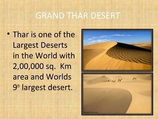 GRAND THAR DESERT
• Thar is one of the
Largest Deserts
in the World with
2,00,000 sq. Km
area and Worlds
9th
largest desert.
 