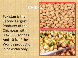 CHICKPEAS
Pakistan is the
Second Largest
Producer of the
Chickpeas with
8,42,000 Tonnes
And 10 % of the
Worlds production
in pakistan only.
 