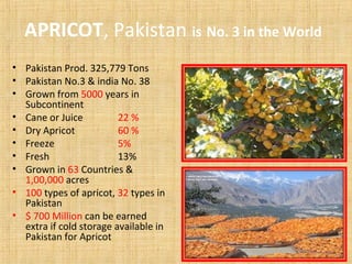 APRICOT, Pakistan is No. 3 in the World
• Pakistan Prod. 325,779 Tons
• Pakistan No.3 & india No. 38
• Grown from 5000 years in
Subcontinent
• Cane or Juice 22 %
• Dry Apricot 60 %
• Freeze 5%
• Fresh 13%
• Grown in 63 Countries &
1,00,000 acres
• 100 types of apricot, 32 types in
Pakistan
• $ 700 Million can be earned
extra if cold storage available in
Pakistan for Apricot
 