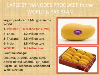 LARGEST MANGOES PRODUCER in the
WORLD is PAKISTAN
largest producer of Mangoes in the
World
1- Pakistan 13.6 Million tons (39%)
2- China 4.2 Million tons
3- Thailand 2.5 Million tons
6- India 1.8 Million tons
WORLD: 34.9 Million tons
Pakistani Mango:
Chaunsa, Dusehri, Langra, Desi,
Anwar Ratoul, Sindhri, Fajri, Saroli,
Bagan Pali, Alphonso, Muhammad
Wole, Neelum
 