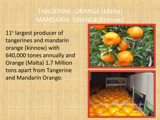 TANGERINE, ORANGE (Malta)
MANDARIN ORANGE(Kinnow)
11th
largest producer of
tangerines and mandarin
orange (kinnow) with
640,000 tones annually and
Orange (Malta) 1.7 Million
tons apart from Tangerine
and Mandarin Orange.
 