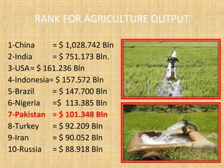 RANK FOR AGRICULTURE OUTPUT
1-China = $ 1,028.742 Bln
2-India = $ 751.173 Bln.
3-USA= $ 161.236 Bln
4-Indonesia= $ 157.572 Bln
5-Brazil = $ 147.700 Bln
6-Nigeria =$ 113.385 Bln
7-Pakistan = $ 101.348 Bln
8-Turkey = $ 92.209 Bln
9-Iran = $ 90.052 Bln
10-Russia = $ 88.918 Bln
 