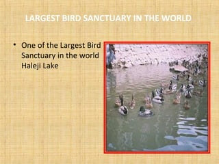 LARGEST BIRD SANCTUARY IN THE WORLD
• One of the Largest Bird
Sanctuary in the world
Haleji Lake
 