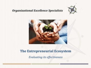 The Entrepreneurial Ecosystem
Evaluating its effectiveness
 