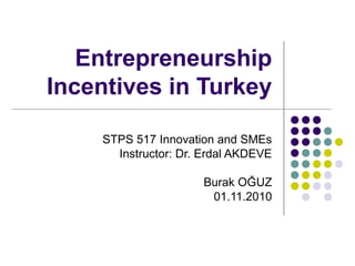 Entrepreneurship
Incentives in Turkey
STPS 517 Innovation and SMEs
Instructor: Dr. Erdal AKDEVE
Burak OĞUZ
01.11.2010
 