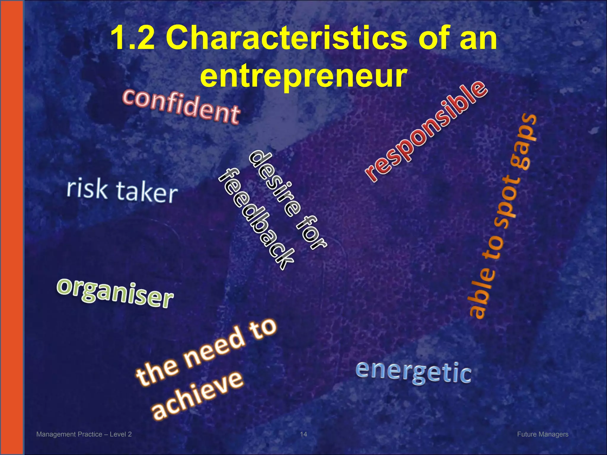 1.2 Characteristics of an entrepreneur Management Practice – Level 2 Future Managers  
