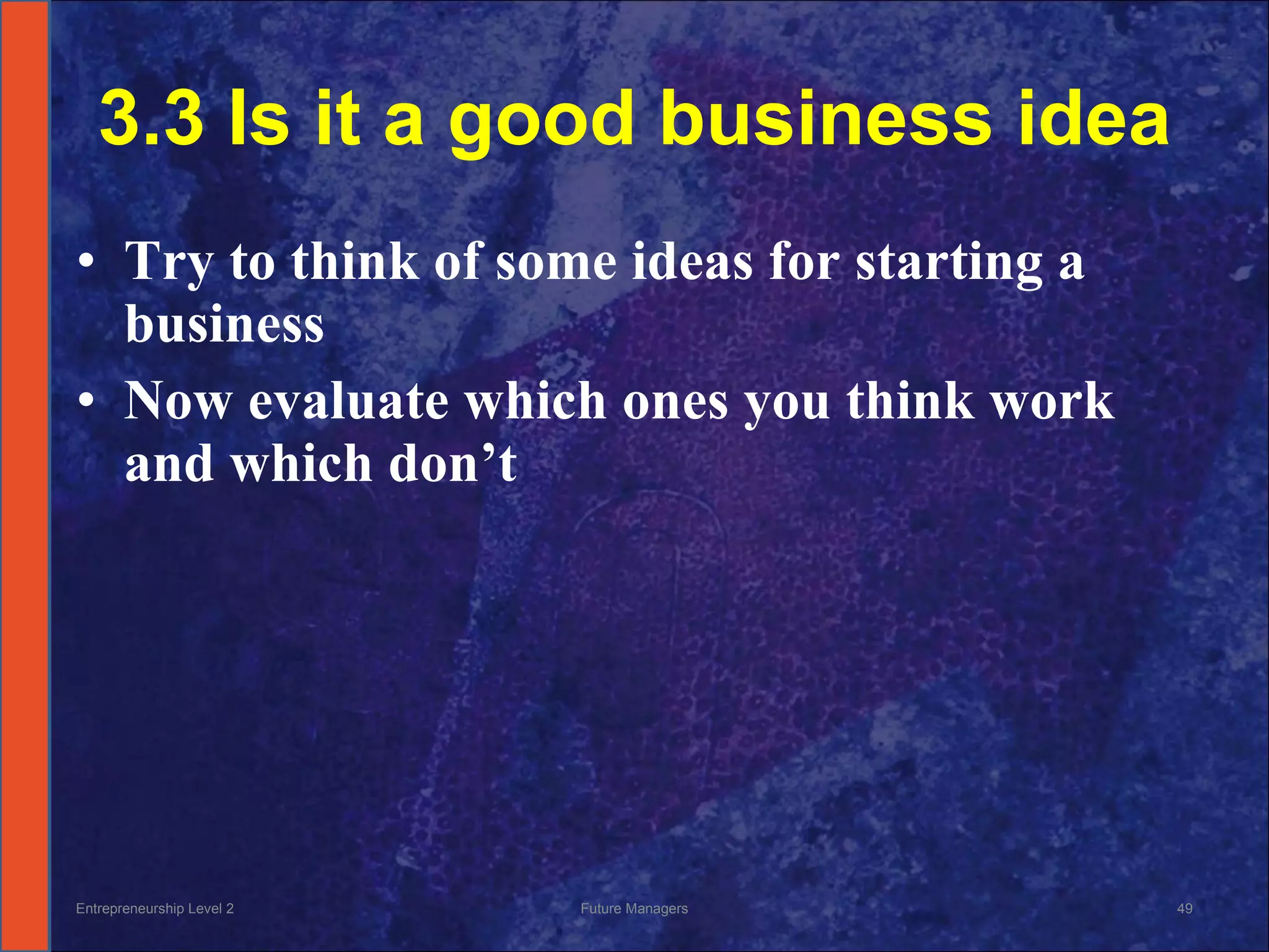 3.3 Is it a good business idea Try to think of some ideas for starting a business Now evaluate which ones you think work and which don’t Entrepreneurship Level 2 Future Managers 