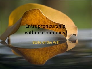Entrepreneurship  within a company! State of the Art! 