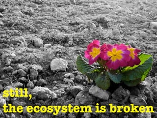 still,
the ecosystem is broken
 