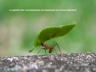 La gestion des connaissances est importante au niveau individuel
 