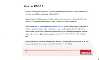 Entreprise Risk Management system