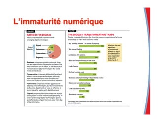Entreprisesociale130116
