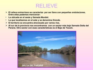 RELIEVE El relieve entrerriano se caracteriza  por ser llano con pequeñas ondulaciones. Entre ellas podemos mencionar: La ubicada en el oeste y llamada Montiel. La que localizamos en el este y se denomina Grande. El territorio se encuentra atravesado por varios ríos. Al sur de la provincia nos encontramos  con un sector más bajo llamado Delta del Paraná. Otro sector con esas características es el Bajo de Yacaré. DELTA DEL PARANÁ 