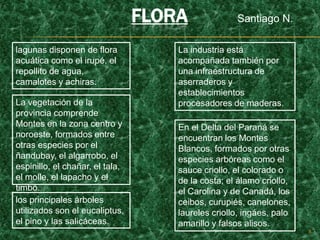 FLORA              Santiago N.

lagunas disponen de flora            La industria está
acuática como el irupé, el           acompañada también por
repollito de agua,                   una infraestructura de
camalotes y achiras.                 aserraderos y
                                     establecimientos
La vegetación de la                  procesadores de maderas.
provincia comprende
Montes en la zona centro y           En el Delta del Paraná se
noroeste, formados entre             encuentran los Montes
otras especies por el                Blancos, formados por otras
ñandubay, el algarrobo, el           especies arbóreas como el
espinillo, el chañar, el tala,       sauce criollo, el colorado o
el molle, el lapacho y el            de la costa; el álamo criollo,
timbó.                               el Carolina y de Canadá, los
los principales árboles              ceibos, curupiés, canelones,
utilizados son el eucaliptus,        laureles criollo, ingáes, palo
el pino y las salicáceas.            amarillo y falsos alisos.
                                                                      8
 