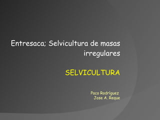 SELVICULTURA Entresaca; Selvicultura de masas irregulares Paco Rodríguez  Jose A. Reque 