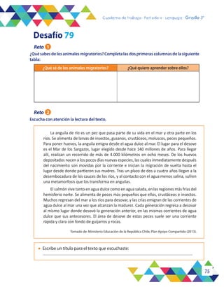75
Cuaderno de trabajo - Período 3 - Lenguaje - 2° básicoCuaderno de trabajo - Período 4 - Lenguaje - Grado 3°
¿Qué sé de los animales migratorios? ¿Qué quiero aprender sobre ellos?
¿Qué sabes de los animales migratorios? Completa las dos primeras columnas de la siguiente
tabla:
Escucha con atención la lectura del texto.
La anguila de río es un pez que pasa parte de su vida en el mar y otra parte en los
ríos. Se alimenta de larvas de insectos, gusanos, crustáceos, moluscos, peces pequeños.
Para poner huevos, la anguila emigra desde el agua dulce al mar. El lugar para el desove
es el Mar de los Sargazos, lugar elegido desde hace 140 millones de años. Para llegar
allí, realizan un recorrido de más de 4.000 kilómetros en ocho meses. De los huevos
depositados nacen a los pocos días nuevas especies, las cuales inmediatamente después
del nacimiento son movidas por la corriente e inician la migración de vuelta hasta el
lugar desde donde partieron sus madres. Tras un plazo de dos a cuatro años llegan a la
desembocadura de los cauces de los ríos, y al contacto con el agua menos salina, sufren
una metamorfosis que los transforma en anguilas.
El salmón vive tanto en agua dulce como en agua salada, en las regiones más frías del
hemisferio norte. Se alimenta de peces más pequeños que ellos, crustáceos e insectos.
Muchos regresan del mar a los ríos para desovar, y las crías emigran de las corrientes de
agua dulce al mar una vez que alcanzan la madurez. Cada generación regresa a desovar
al mismo lugar donde desovó la generación anterior, en las mismas corrientes de agua
dulce que sus antecesores. El área de desove de estos peces suele ser una corriente
rápida y clara con fondo de guijarros y rocas.
l	 Escribe un título para el texto que escuchaste:
Desafío 79
Reto 1
Reto 2
Tomado de: Ministerio Educación de la República Chile, Plan Apoyo Compartido (2013).
 