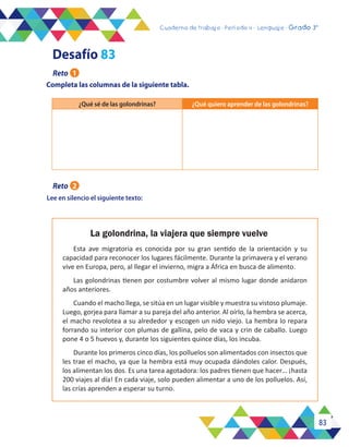 83
Cuaderno de trabajo - Período 3 - Lenguaje - 2° básicoCuaderno de trabajo - Período 4 - Lenguaje - Grado 3°
Completa las columnas de la siguiente tabla.
Lee en silencio el siguiente texto:
¿Qué sé de las golondrinas? ¿Qué quiero aprender de las golondrinas?
La golondrina, la viajera que siempre vuelve
Esta ave migratoria es conocida por su gran sentido de la orientación y su
capacidad para reconocer los lugares fácilmente. Durante la primavera y el verano
vive en Europa, pero, al llegar el invierno, migra a África en busca de alimento.
Las golondrinas tienen por costumbre volver al mismo lugar donde anidaron
años anteriores.
Cuando el macho llega, se sitúa en un lugar visible y muestra su vistoso plumaje.
Luego, gorjea para llamar a su pareja del año anterior. Al oírlo, la hembra se acerca,
el macho revolotea a su alrededor y escogen un nido viejo. La hembra lo repara
forrando su interior con plumas de gallina, pelo de vaca y crin de caballo. Luego
pone 4 o 5 huevos y, durante los siguientes quince días, los incuba.
Durante los primeros cinco días, los polluelos son alimentados con insectos que
les trae el macho, ya que la hembra está muy ocupada dándoles calor. Después,
los alimentan los dos. Es una tarea agotadora: los padres tienen que hacer… ¡hasta
200 viajes al día! En cada viaje, solo pueden alimentar a uno de los polluelos. Así,
las crías aprenden a esperar su turno.
Reto 1
Desafío 83
Reto 2
 