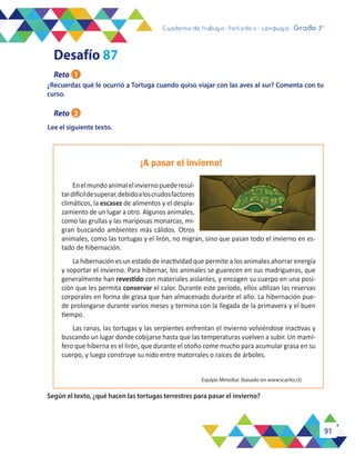 91
Cuaderno de trabajo - Período 3 - Lenguaje - 2° básicoCuaderno de trabajo - Período 4 - Lenguaje - Grado 3°
¿Recuerdas qué le ocurrió a Tortuga cuando quiso viajar con las aves al sur? Comenta con tu
curso.	
Lee el siguiente texto.
Según el texto, ¿qué hacen las tortugas terrestres para pasar el invierno?
Enelmundoanimalelinviernopuederesul-
tardifícildesuperar,debidoaloscrudosfactores
climáticos, la escasez de alimentos y el despla-
zamiento de un lugar a otro. Algunos animales,
como las grullas y las mariposas monarcas, mi-
gran buscando ambientes más cálidos. Otros
animales, como las tortugas y el lirón, no migran, sino que pasan todo el invierno en es-
tado de hibernación.
La hibernación es un estado de inactividad que permite a los animales ahorrar energía
y soportar el invierno. Para hibernar, los animales se guarecen en sus madrigueras, que
generalmente han revestido con materiales aislantes, y encogen su cuerpo en una posi-
ción que les permita conservar el calor. Durante este período, ellos utilizan las reservas
corporales en forma de grasa que han almacenado durante el año. La hibernación pue-
de prolongarse durante varios meses y termina con la llegada de la primavera y el buen
tiempo.
Las ranas, las tortugas y las serpientes enfrentan el invierno volviéndose inactivas y
buscando un lugar donde cobijarse hasta que las temperaturas vuelven a subir. Un mamí-
fero que hiberna es el lirón, que durante el otoño come mucho para acumular grasa en su
cuerpo, y luego construye su nido entre matorrales o raíces de árboles.
¡A pasar el invierno!
Equipo Mineduc (basado en www.icarito.cl)
Reto 1
Desafío 87
Reto 2
 