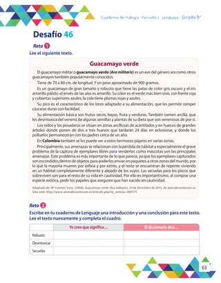 63
Cuaderno de trabajo - Período 4 - Lenguaje - Grado 5°
Guacamayo verde
Yo creo que significa… El diccionario dice…
Robusto
Desintoxicar
Secuelas
El guacamayo militar o guacamayo verde (Ara militaris) es un ave del género ara como otros
guacamayos también popularmente conocidos.
Tiene de 70 a 80 cm. de longitud. Y un peso aproximado de 900 gramos.
Es un guacamayo de gran tamaño y robusto que tiene las patas de color gris oscuro y el iris
amarillo pálido; el envés de las alas es amarillo. Su color es el verde más bien vivo, con frente roja
y cubiertas superiores azules; la cola tiene plumas rojas y azules.
Su pico es el característico de los loros adaptado a su alimentación, que les permite romper
cáscaras duras con facilidad.
Su alimentación básica son frutos secos, bayas, fruta y verduras. También comen arcilla, que
les desintoxica del veneno de algunas semillas y plantas de su dieta que son venenosas de por sí.
Los nidos y los posaderos se sitúan en zonas arcillosas de acantilados y en huecos de grandes
árboles donde ponen de dos a tres huevos que tardarán 24 días en eclosionar, y donde los
polluelos permanecerán con los padres cerca de un año.
En Colombia también se les puede ver a estos hermosos pájaros en varias zonas.
Principalmente, sus amenazas se relacionan con la pérdida de hábitat y especialmente el grave
problema de la captura de ejemplares libres para venderlos como mascotas son las principales
amenazas. Este problema es más importante de lo que parece, ya que los ejemplares capturados
son escondidos dentro de objetos para poderlos enviar en paquetes a otras zonas del mundo, por
lo que la mayoría mueren por asfixia y por estrés, y el resto se encuentran de repente viviendo
en un hábitat completamente diferente y alejado de los suyos. Las secuelas para los pocos que
sobreviven son para el resto de su vida en cautividad. Por ello es importantísimo, al comprar una
especie exótica, pedir los papeles que aseguren que han nacido en cautividad.
Adaptado de: Mª Carmen Soria. (2008). Guacamayo verde (Ara militaris). 29 de Diciembre de 2015, de animalesextincion.es
Sitio web: http://www.animalesextincion.es/articulo.php?id_noticia=000175
Desafío 46
Escribe en tu cuaderno de Lenguaje una introducción y una conclusión para este texto.
Lee el texto nuevamente y completa el cuadro.
Reto 2
Reto 1
Lee el siguiente texto.
 