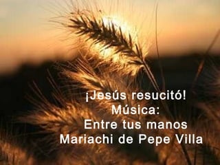 ¡Jesús resucitó!
       Música:
   Entre tus manos
Mariachi de Pepe Villa
 