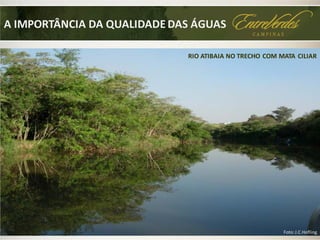 Foto:J.C.Hofling
RIO ATIBAIA NO TRECHO COM MATA CILIAR
A IMPORTÂNCIA DA QUALIDADE DAS ÁGUAS
 