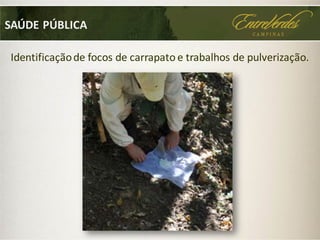 SAÚDE PÚBLICA
Identificaçãode focos de carrapato e trabalhos de pulverização.
 