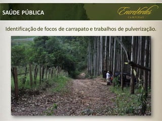 SAÚDE PÚBLICA
Identificaçãode focos de carrapato e trabalhos de pulverização.
 