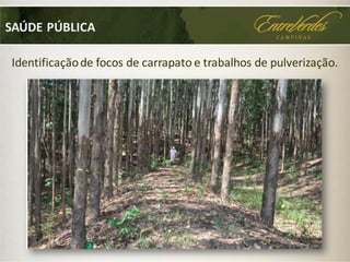 SAÚDE PÚBLICA
Identificaçãode focos de carrapato e trabalhos de pulverização.
 