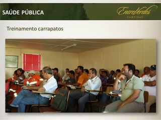 SAÚDE PÚBLICA
Treinamento carrapatos
 
