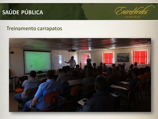 SAÚDE PÚBLICA
Treinamento carrapatos
 