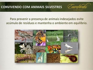 CONVIVENDO COM ANIMAIS SILVESTRES
Para prevenir a presença de animais indesejados evite
acúmulo de resíduos e mantenha o ambiente em equilíbrio.
José Claudio
Hofling
José ClaudioHoflingJarbas Mattos
Instituto Butantan
olhares.uol.com.br
Copyright©2014 BeeBase.
www.google.com.br
MicheldeAguiarPassos
José ClaudioHofling
 