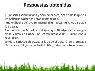 Respuestas obtenidas
¿Qué sabes sobre la vida y obra de Zapata, aparte de lo que en
las películas o algunos libros se menciona?
 Fue un líder que tuvo en mente el lema: Las tierra es de quien
la trabaja.
Fue un líder en Morelos, y al igual que Hidalgo usó la imagen
de la Virgen de Guadalupe como símbolo de su lucha por la
revolución.
Un dato curioso sobre Zapata fue que él trabajó en el cuidado
de caballos del yerno de Porfirio Díaz, antes de la Revolución.
 